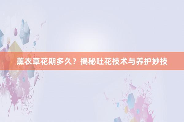 薰衣草花期多久？揭秘吐花技术与养护妙技