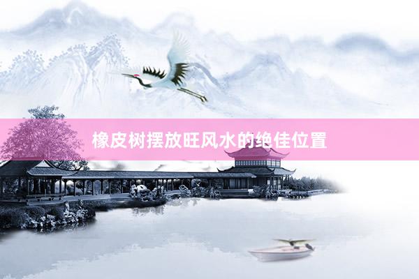 橡皮树摆放旺风水的绝佳位置